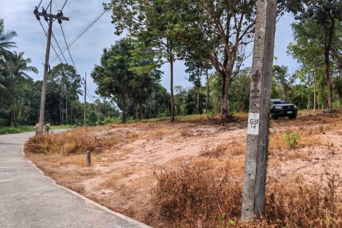 Земельный участок в Самуи, Таиланд 10028м2 № 151350 - фото 18