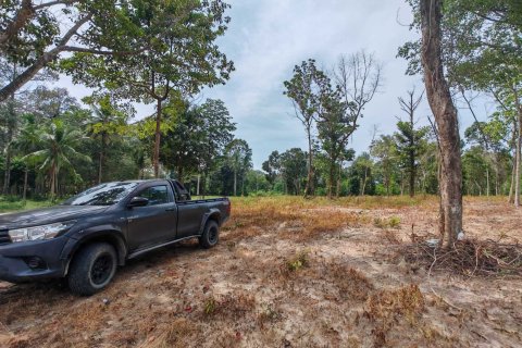 Земельный участок в Самуи, Таиланд 10028м2 № 151350 - фото 15