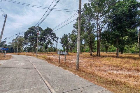 Земельный участок в Самуи, Таиланд 10028м2 № 151350 - фото 3