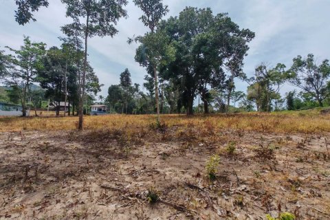 Земельный участок в Самуи, Таиланд 10028м2 № 151350 - фото 7