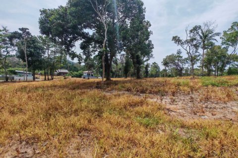 Земельный участок в Самуи, Таиланд 10028м2 № 151350 - фото 8