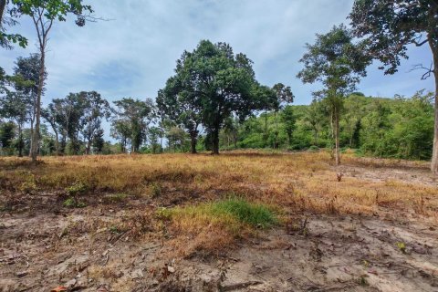 Земельный участок в Самуи, Таиланд 10028м2 № 151350 - фото 5