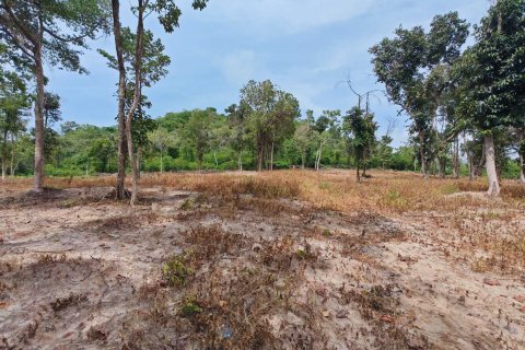 Земельный участок в Самуи, Таиланд 10028м2 № 151350 - фото 17