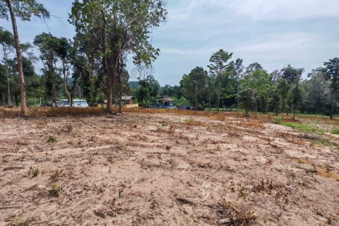 Земельный участок в Самуи, Таиланд 10028м2 № 151350 - фото 11