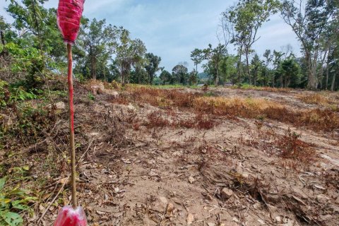 Земельный участок в Самуи, Таиланд 10028м2 № 151350 - фото 13
