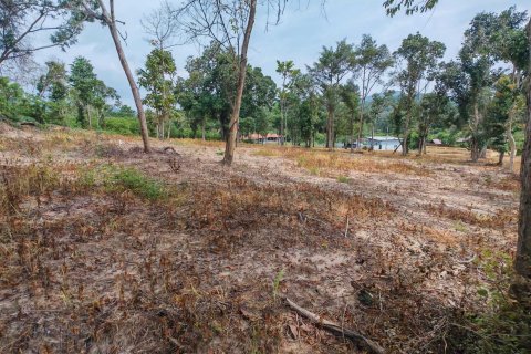 Земельный участок в Самуи, Таиланд 10028м2 № 151350 - фото 12