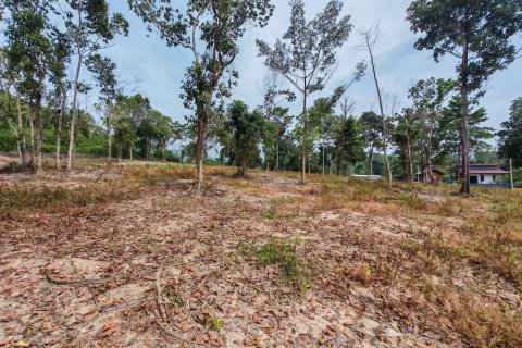 Земельный участок в Самуи, Таиланд 10028м2 № 151350 - фото 16