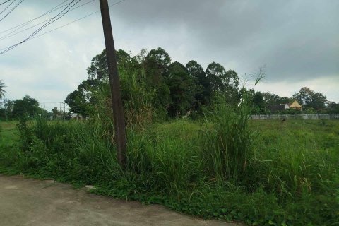 Земельный участок в Банг Ламунге, Таиланд  № 152294 - фото 4