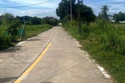 Земельный участок в Банг Ламунге, Таиланд  № 152294 - фото 6