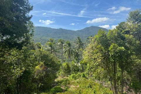 Terrain à Surat Thani, Thaïlande № 114647 - photo 6