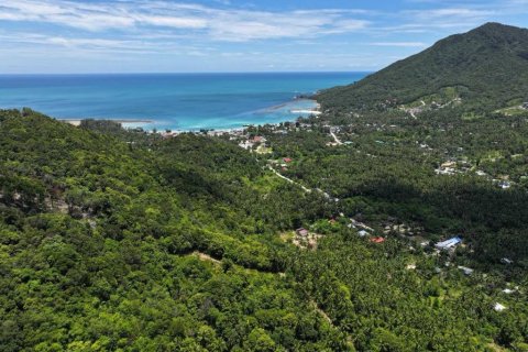 Terrain à Surat Thani, Thaïlande № 114647 - photo 1