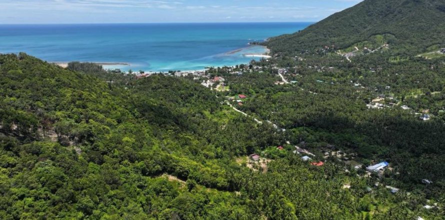 Terrain à Surat Thani, Thaïlande № 114647