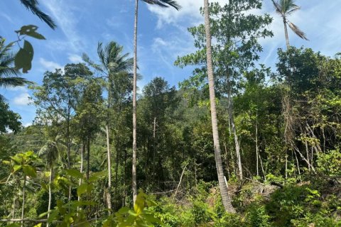 Terrain à Surat Thani, Thaïlande № 114647 - photo 10