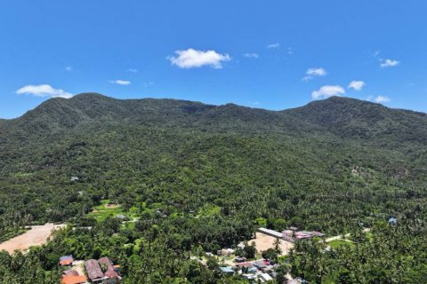 Terrain à Surat Thani, Thaïlande № 114647 - photo 3