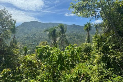 Terrain à Surat Thani, Thaïlande № 114647 - photo 7