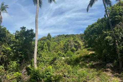 Terrain à Surat Thani, Thaïlande № 114647 - photo 4