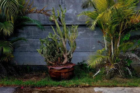 House in Rayong, Thailand 2 bedrooms № 149882 - photo 22