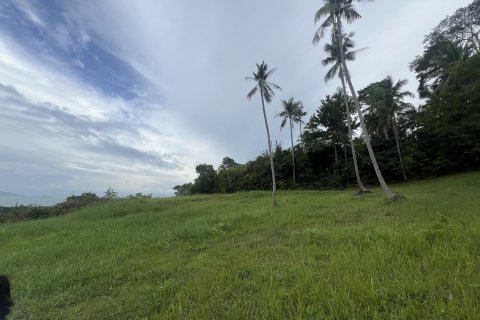 Terrain à Ko Samui, Thaïlande 12180 m2 № 149877 - photo 30