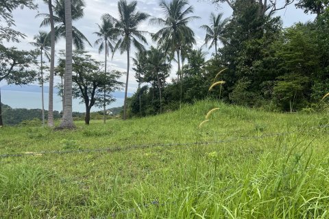 Terrain à Ko Samui, Thaïlande 12180 m2 № 149877 - photo 7