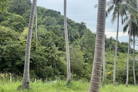 Terrain à Ko Samui, Thaïlande 12180 m2 № 149877 - photo 15