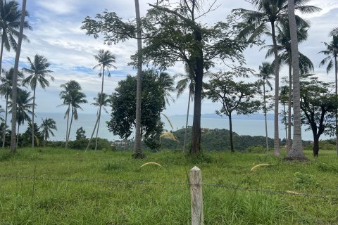 Terrain à Ko Samui, Thaïlande 12180 m2 № 149877 - photo 11