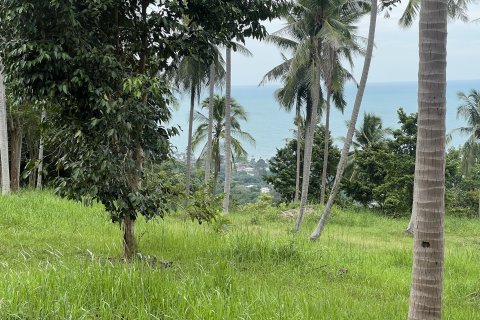 Terrain à Ko Samui, Thaïlande 12180 m2 № 149877 - photo 14