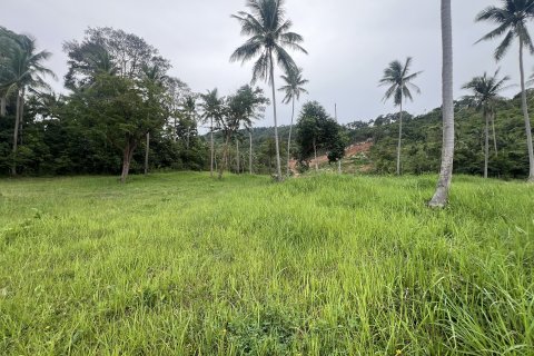Terrain à Ko Samui, Thaïlande 12180 m2 № 149877 - photo 28