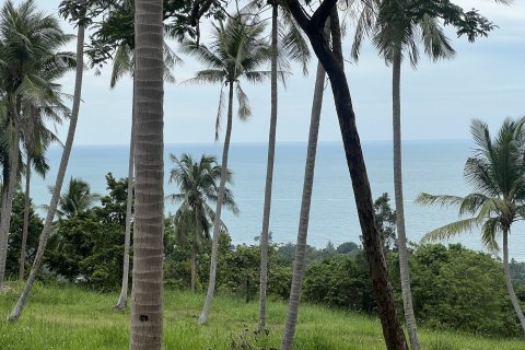 Terrain à Ko Samui, Thaïlande 12180 m2 № 149877 - photo 12