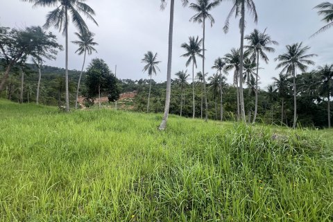 Terrain à Ko Samui, Thaïlande 12180 m2 № 149877 - photo 29