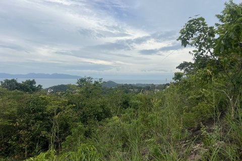 Terrain à Ko Samui, Thaïlande 12180 m2 № 149877 - photo 20