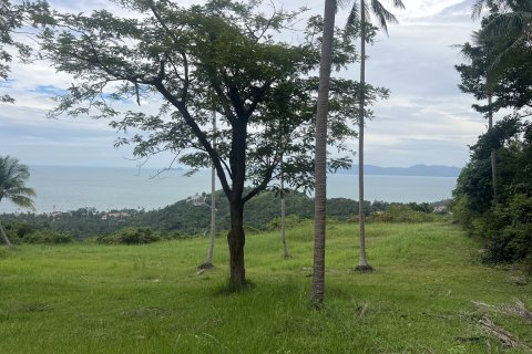 Terrain à Ko Samui, Thaïlande 12180 m2 № 149877 - photo 3