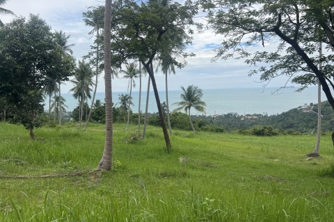 Terrain à Ko Samui, Thaïlande 12180 m2 № 149877 - photo 5