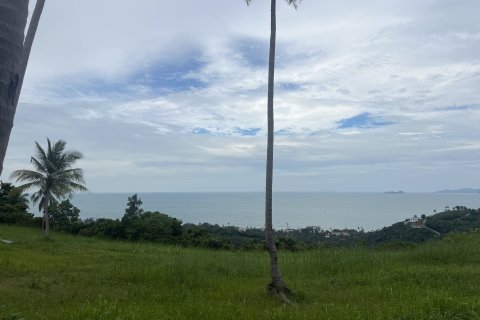 Terrain à Ko Samui, Thaïlande 12180 m2 № 149877 - photo 17