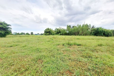 Земельный участок в Кхонкэне, Таиланд 19200м2  № 139214 - фото 6