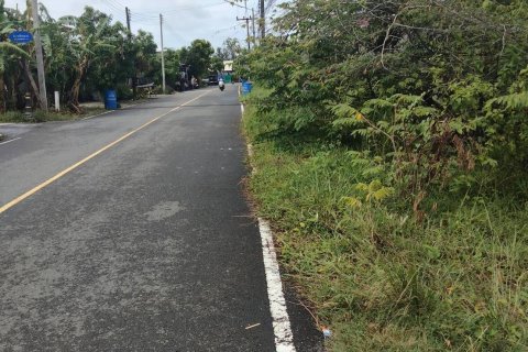 Land in Phang Nga, Thailand 17600 sq.m. № 167705 - photo 13