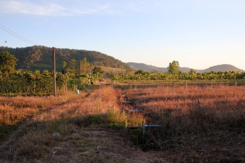 Terrain à Chiang Mai, Thaïlande 38400 m2 № 167709 - photo 3