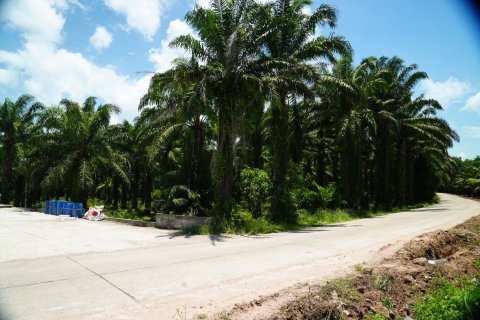 Land in Krabi, Thailand 10332 sq.m. № 147169 - photo 2