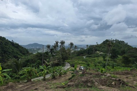 Land in Ko Samui, Thailand 9600 sq.m. № 160255