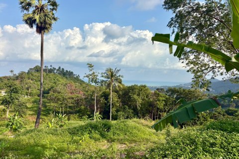 Land in Ko Samui, Thailand 9600 sq.m. № 160255 - photo 10
