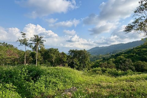 Land in Ko Samui, Thailand 9600 sq.m. № 160255 - photo 9