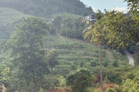 Land in Ko Samui, Thailand 9600 sq.m. № 160255 - photo 3