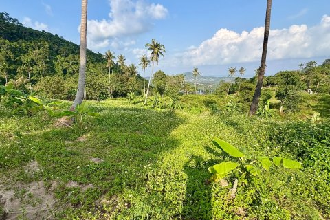 Land in Ko Samui, Thailand 9600 sq.m. № 160255 - photo 8