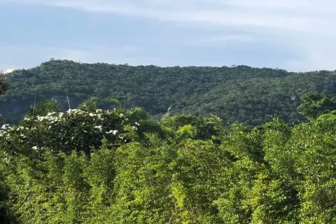 Terrain à Hua Hin, Thaïlande 830 m2 № 142195 - photo 1