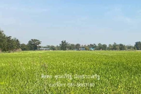 Terrain à Nakhon Sawan, Thaïlande 21140 m2 № 153079 - photo 3