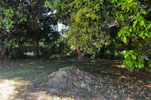 Terrain à Ko Samui, Thaïlande 2528 m2 № 135826 - photo 3