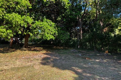 Terrain à Ko Samui, Thaïlande 2528 m2 № 135826 - photo 10