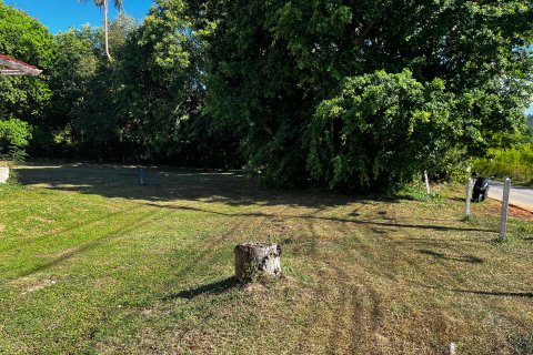 Terrain à Ko Samui, Thaïlande 2528 m2 № 135826 - photo 6
