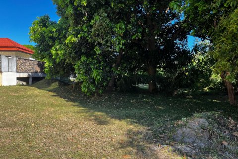 Terrain à Ko Samui, Thaïlande 2528 m2 № 135826 - photo 2