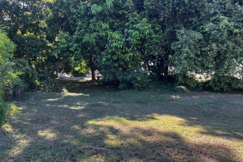 Terrain à Ko Samui, Thaïlande 2528 m2 № 135826 - photo 5