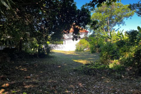 Terrain à Ko Samui, Thaïlande 2528 m2 № 135826 - photo 4